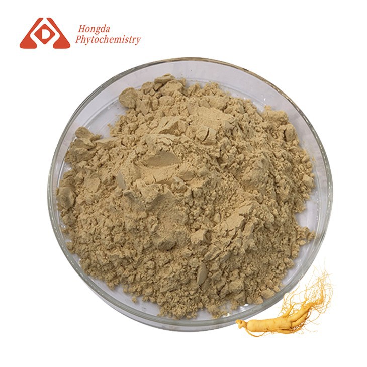 Ginseng -uuttejauhe